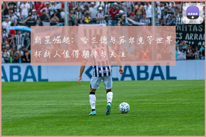 新星崛起：哈兰德与苏尔克等世界杯新人值得期待与关注